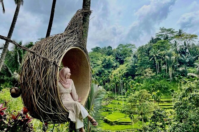 Ubud Private Chasing Waterfall and Water Temple Tour - Tegalalang Rice Terraces: where the day slows down for photos