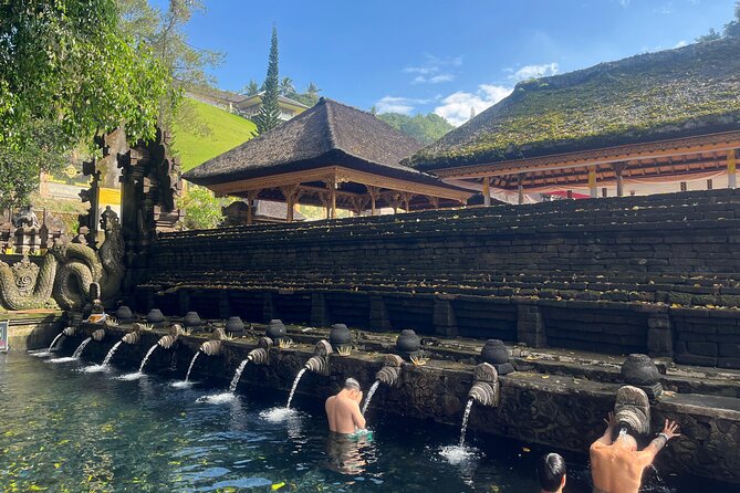 Ubud Private Nature and Temple Tour - Key highlights before you go
