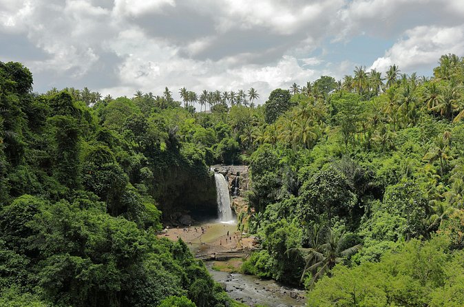 Ubud Private Nature and Temple Tour - Price and value: what $30.55 really buys you (and what it doesn’t)