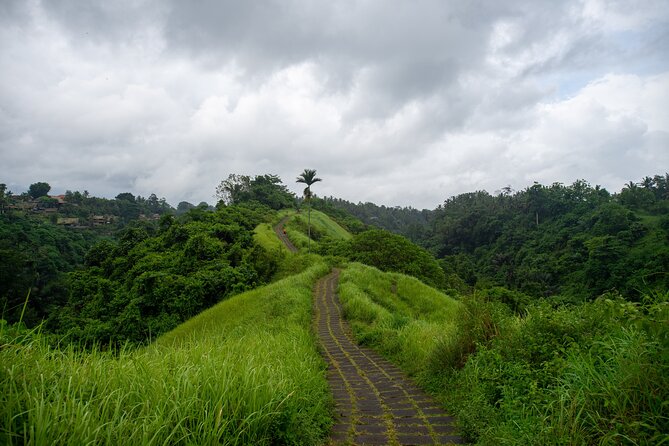 Ubud Private Tour: Monkey Forest - Tirta Empul Temple - Tirta Empul Temple: The Holy Spring and Purification Rituals