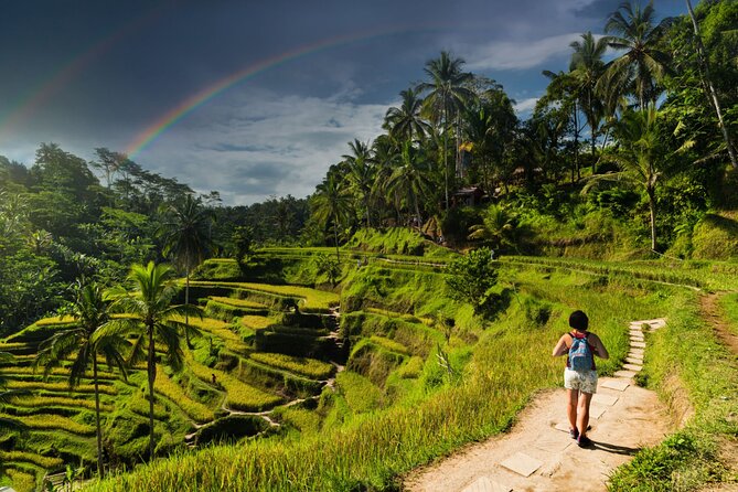 Ubud Private Tour: Monkey Forest - Tirta Empul Temple - Elephant Cave (Goa Gajah): Caves, Relics, and Old Bathing Pools