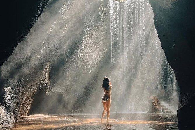 Ubud Private Tour - Waterfalls, Water Temple & Rice Terraces - Key highlights to know before you go