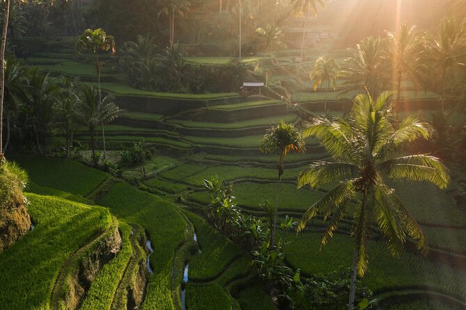 Ubud Private Tour - Waterfalls, Water Temple & Rice Terraces - Tukad Cepung Waterfall: The cave light-rip effect