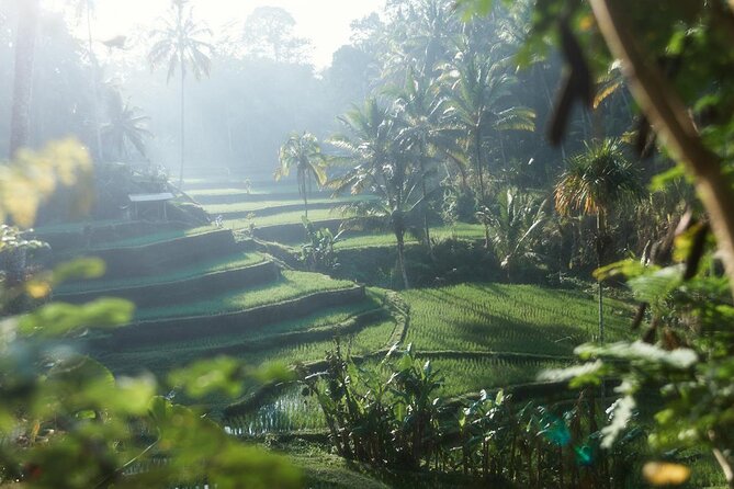 Ubud Private Tour - Waterfalls, Water Temple & Rice Terraces - Lunch at Sari Timbul by Kubu Bali: Keep the day moving