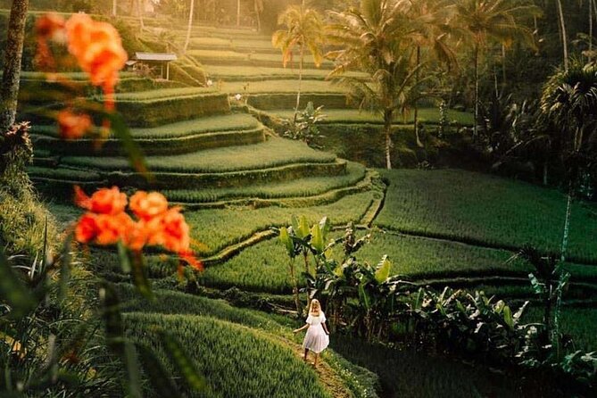 Ubud Private Tour - Waterfalls, Water Temple & Rice Terraces - Tirta Empul Temple: Purification ritual with sarong guidance