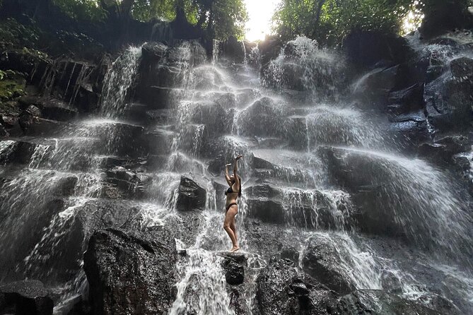 Ubud : Rice Terrace, water Temple and Waterfalls Private tour - Key moments you’ll remember