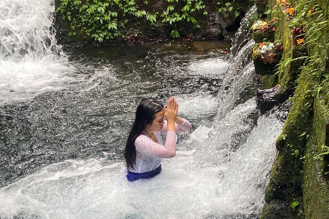Ubud Shamanic Healing and Purification Ceremony - Price and Value: How $50 Fits When Transportation and Tickets Are Included