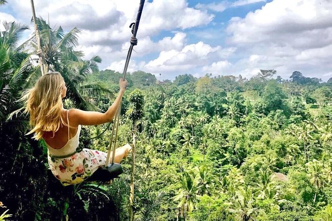 Ubud Sightseeing, Holy Water Temple & Waterfall - Dewa Putu Toris: The Art Stop With a Real Community Angle