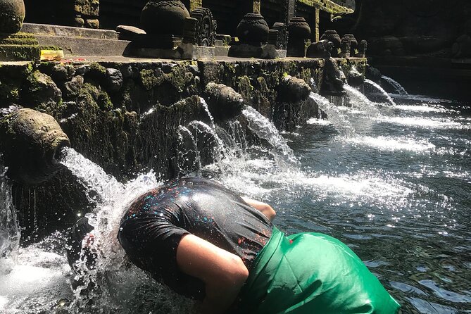 Ubud Sightseeing, Holy Water Temple & Waterfall - Tegalalang Rice Terrace: Iconic Steps, Your Own Tempo