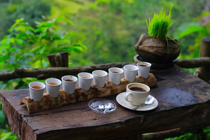 Ubud Sightseeing, Holy Water Temple & Waterfall - How Agus Indrawan Helps You Shape the Route