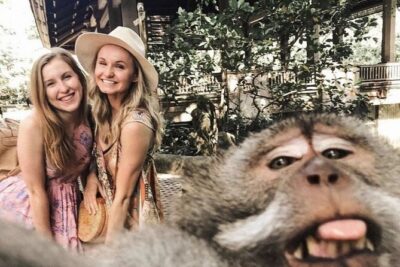 Ubud Skip the line Monkey Forest Sanctuary Ticket and Guided Tour - Ubud’s Monkey Forest: what you’re really paying for