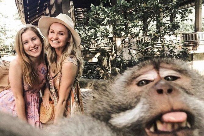 Ubud Skip the line Monkey Forest Sanctuary Ticket and Guided Tour - Ubud’s Monkey Forest: what you’re really paying for
