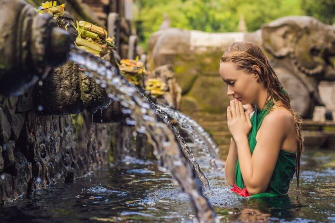 UBUD Spring Temple, Waterfall, Rice Terraces Private Tour - A Private Ubud Loop: How the 5–7 Hour Plan Feels on the Ground