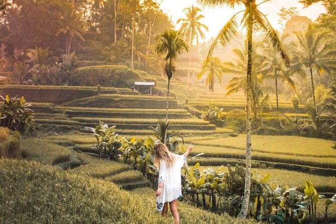 UBUD Spring Temple, Waterfall, Rice Terraces Private Tour - Price and Logistics: Is $129.99 Good Value for a Private Day?