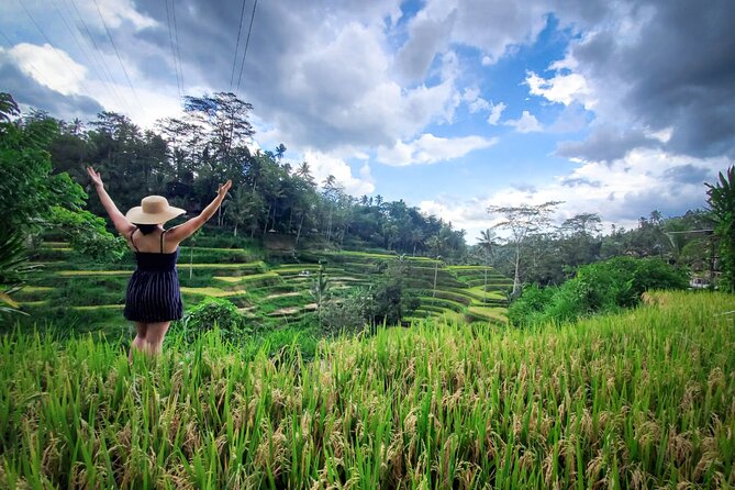 UBUD : Temple and Waterfall All Inclusive Day Tour - Semar Kuning Artist Cooperative: art browsing with a story