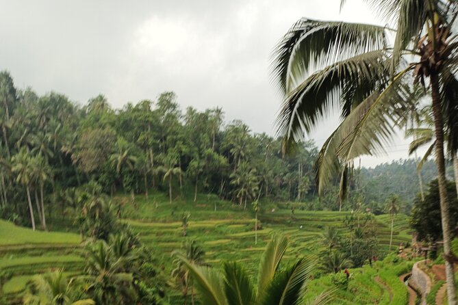 UBUD : Temple and Waterfall All Inclusive Day Tour - How the guide makes or breaks the day