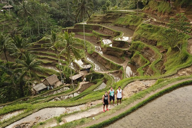 Ubud Top Attractions: Waterfalls, Temples and Rice Terraces - dAlas Swing: the short thrill that fits inside a long day
