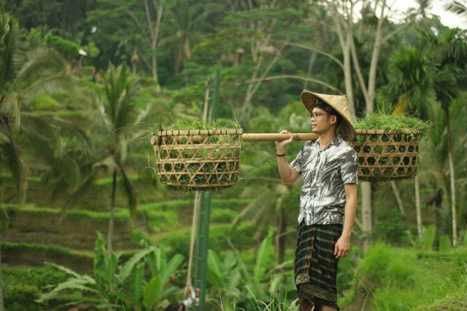 Ubud Tour : Best of Ubud with All inclusive - Tegenungan Waterfall: A Dramatic Break With Real Stairs