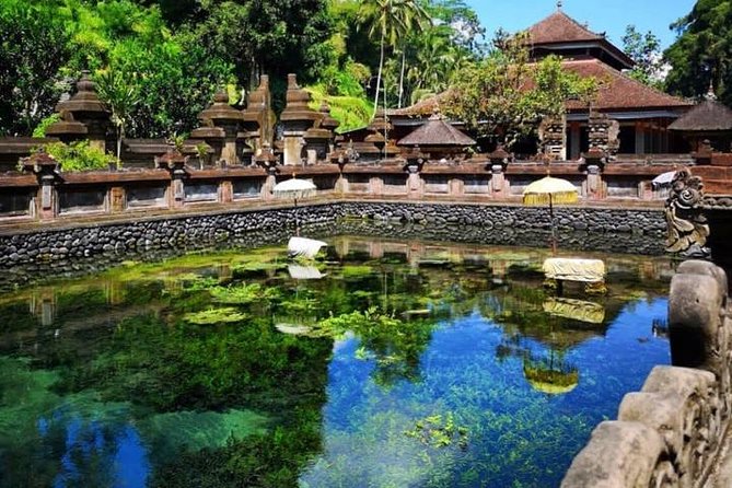 Ubud Tour : Best of Ubud with All inclusive - Sacred Monkey Forest Sanctuary: Temples, Macaques, and Keeping It Safe
