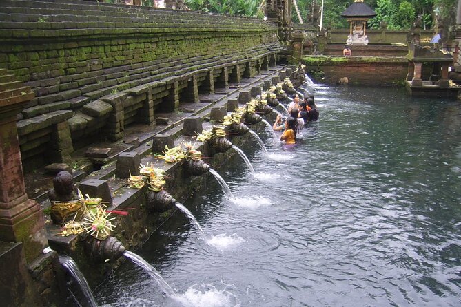 Ubud Tour : Monkey forest, Rice terrace, Water temple, Waterfall & Jungle Swing - Stop 1: Sacred Monkey Forest Sanctuary (what to expect)