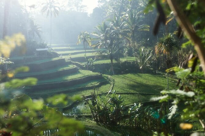 Ubud Tour Water Temple with Jungle Swing - Timing: 8:00 am start and an 8 to 10 hour grind (in a good way)