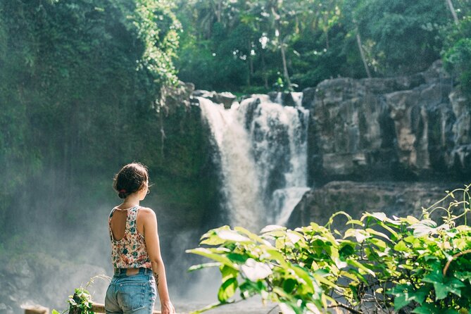 Ubud Tour Waterfall Rice Terrace Temple and Art Village - Tegalalang Rice Terrace and Subak irrigation: more than a postcard shot