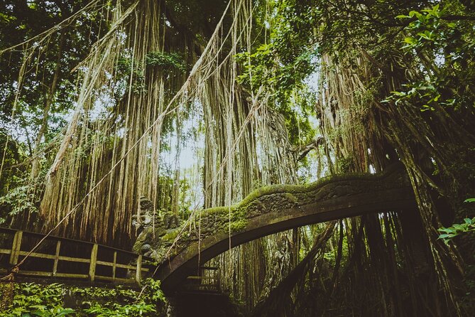 Ubud Tour Waterfall Rice Terrace Temple and Art Village - Gunung Kawi Sebatu Holy Water Temple: calm gardens and sacred spring water