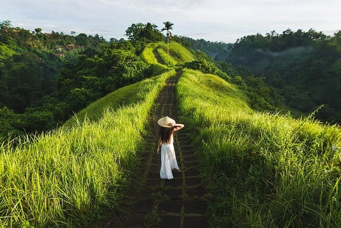 Ubud Tour with all includes - Uma Pakel Agro Tourism: Luwak Coffee Experience and Sampling