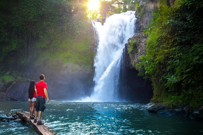 Ubud Tour with Swing, Temple, Monkey Forest, and Waterfall - Sacred Monkey Forest Sanctuary: how to handle macaques safely