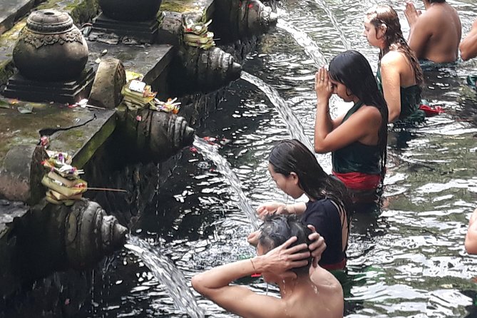 Ubud Waterfall Swing And Spring Temple Private Guided Tour - Why This Private Ubud Tour Feels Worth the Money