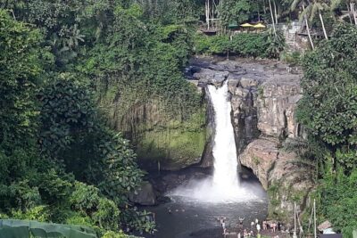Ubud Waterfall Swing And Spring Temple Private Guided Tour - Tirta Empul Temple and Tampaksiring: Where the Water Isn’t Just Pretty