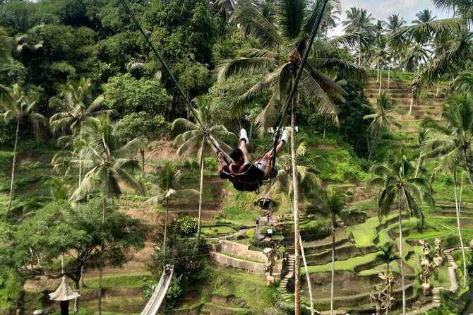 Ubud Waterfall Swing And Spring Temple Private Guided Tour - Price and What to Budget: $25 Is the Start, Not the Whole Day