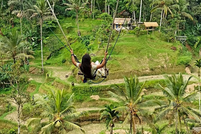 Ubud Waterfall Swing And Spring Temple Private Guided Tour - Should You Book This Ubud Waterfall Swing and Spring Temple Tour?