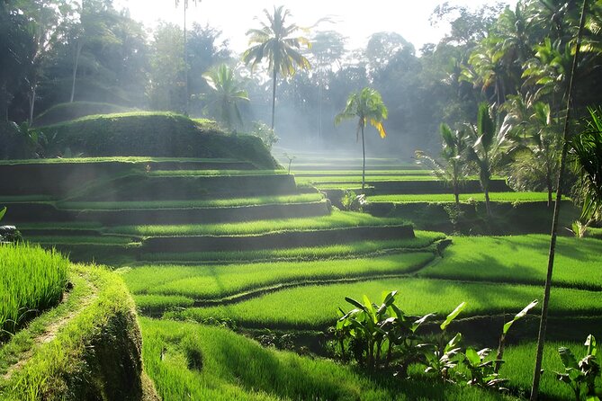 Ubud: Waterfalls, Water Temple & Rice Terraces Private Tour - Tirta Empul Temple: Holy Spring Purification Ritual, Sarong Included