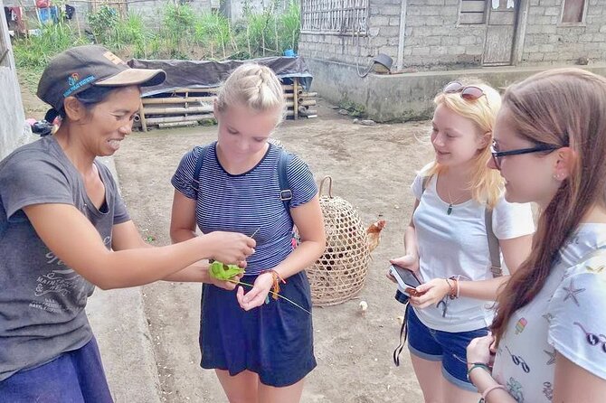 Ubud Wonderful Half Day Downhill Cycling Tour with Lunch - Morning Logistics: The 8:00 Start and Pickup Rhythm
