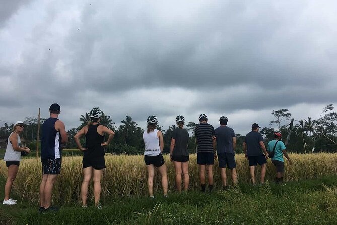 Ubud Wonderful Half Day Downhill Cycling Tour with Lunch - Manukaya Ride Segment: Mostly Downhill Village Roads
