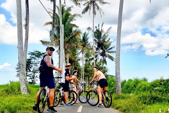 Ubud Wonderful Half Day Downhill Cycling Tour with Lunch - A Temple Stop You’ll Feel More Than See