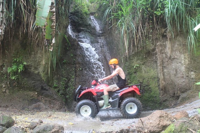 Ubud's Quad Bike - ATV Single Ride - The ride itself: rice fields, jungle trek, and stream-crossing energy