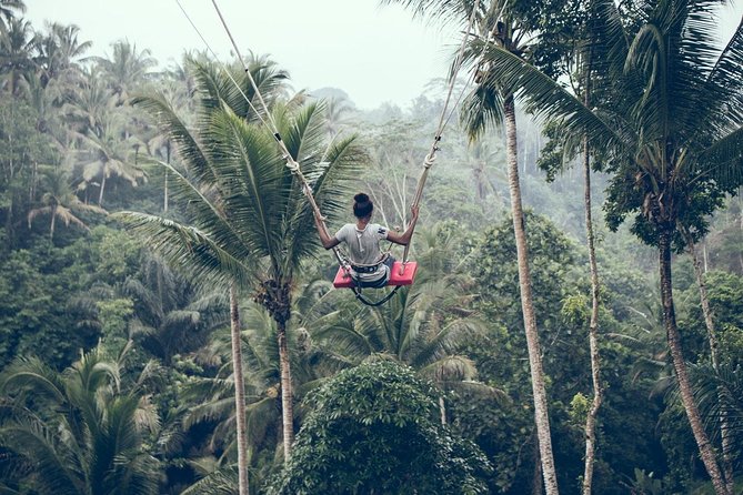 Ultimate Ubud - Price and What You Actually Get for $112.50