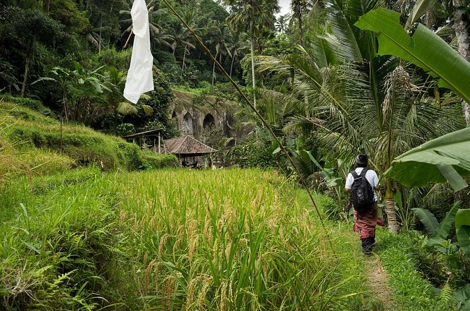 UNESCO Sites Cultural Walking Tour in Bali - Walking rice paddies with Subak: the irrigation lesson that makes Bali make sense