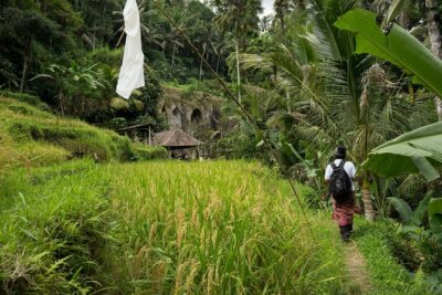 UNESCO Sites Cultural Walking Tour in Bali - The Friends in Bali food break: your real energy refill