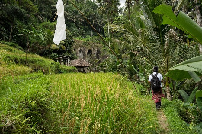 UNESCO Sites Cultural Walking Tour in Bali - The Friends in Bali food break: your real energy refill
