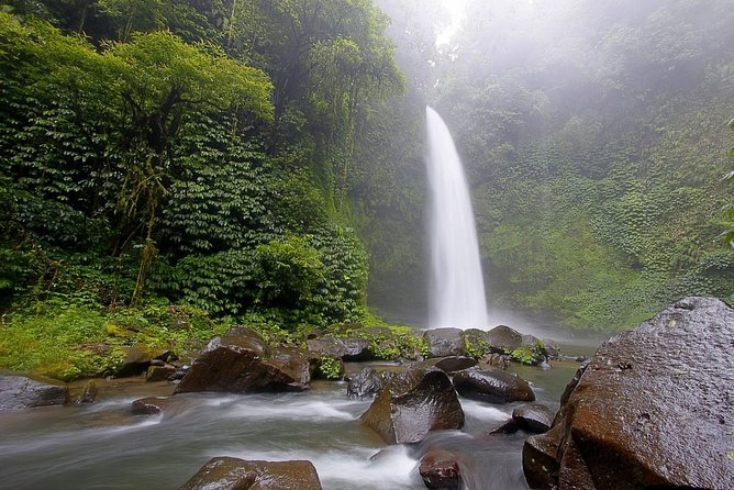 Unique Cleansing Ceremony with Locals - Taman Mumbul: sacred water, a clear pond, and bathing pools
