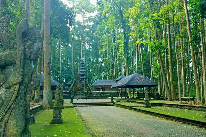 Unique Cleansing Ceremony with Locals - Why the guide matters on a private cleansing day
