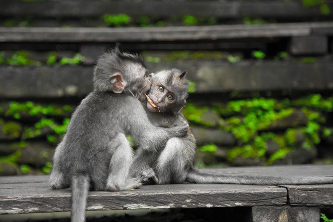 Utterly Ubud - Barong & Kris dance: culture you can’t Google into your memory