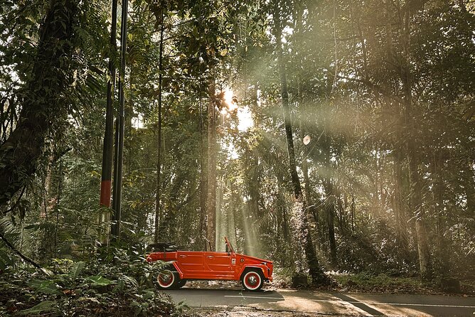Vintage Volkswagen Bali Tour - Tegenungan Waterfall: time to see it and (optionally) swim