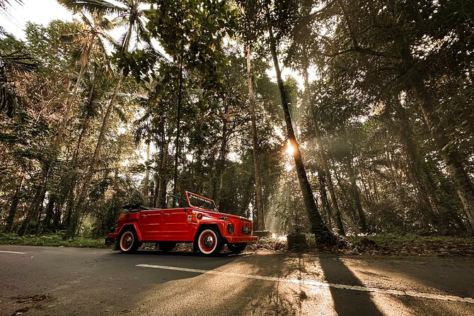 Vintage Volkswagen Bali Tour - Coffee Break and Local Flavor Stops